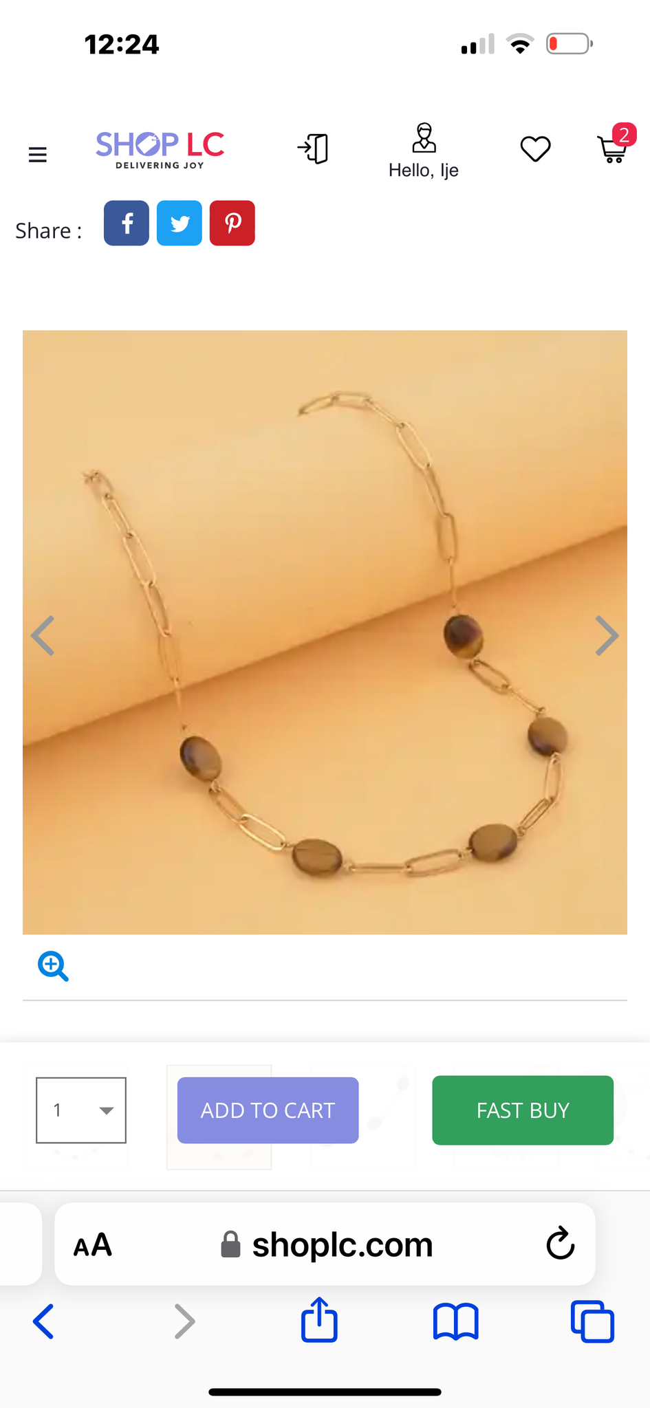 Tiger’s Eye paperclip Necklace